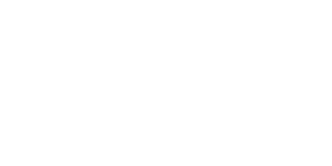 Optiviser
